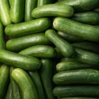 Close-up of fresh organic cucumbers showcasing vibrant greens, ideal for healthy eating.