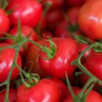 Vibrant close-up of fresh red vine tomatoes showing natural texture and color.